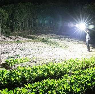 Versatile High Power LED Flashlight | Power Bank & Window Hammer